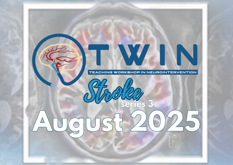 2025 TWIN Stroke Series 3